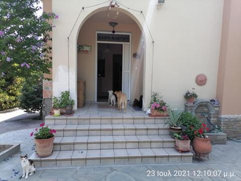 Elena'S Green House Nea Iraklitsa 外观 照片
